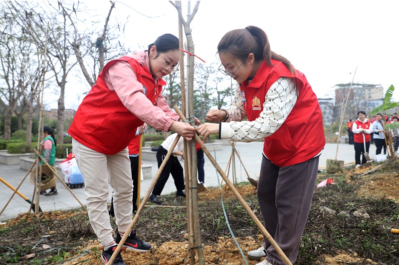 廣咨集團(tuán)開展植樹節(jié)活動